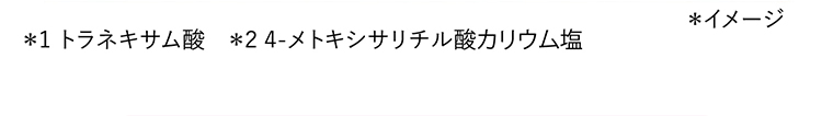 ※イメージ