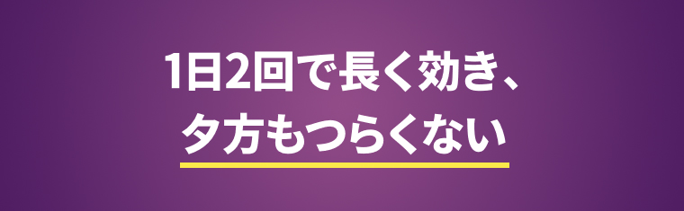 1日2回で長く効き、夕方もつらくない