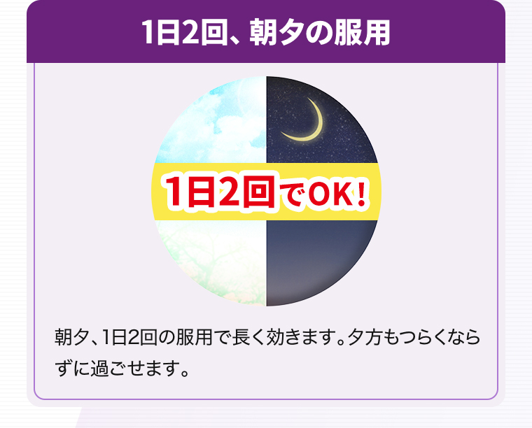 1日2回、朝夕の服用「１日2回でOK！」朝夕、1日2回の服用で長く効きます。夕方もつらくならずに過ごせます。