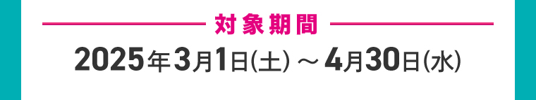 -対象期間-