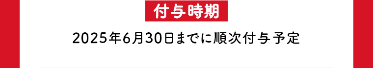 付与期間