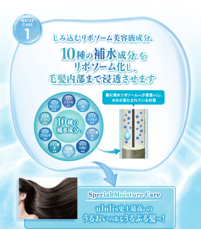 WATERCARE01 10種の補水成分をリポソーム化し毛髪内部まで浸透させます