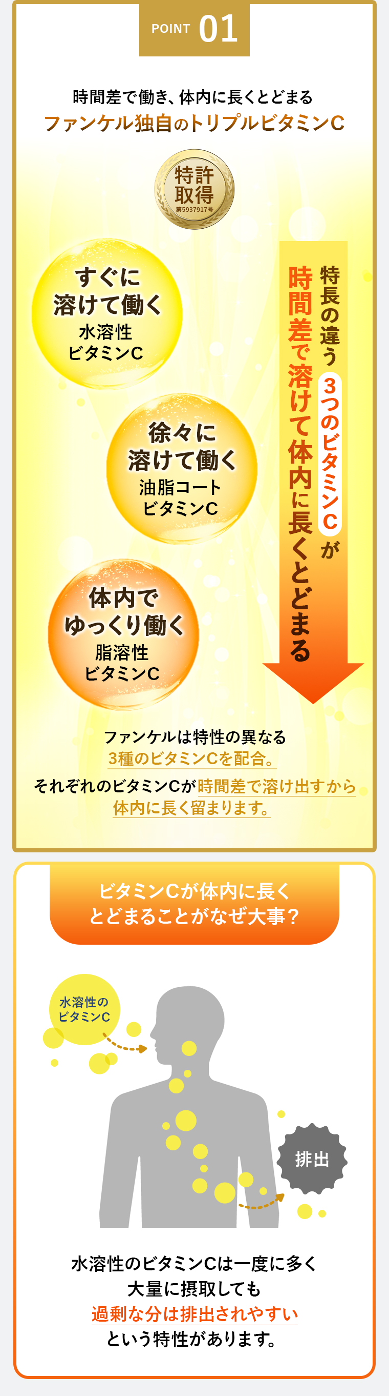 POINT01 ファンケル独自のトリプルビタミンC