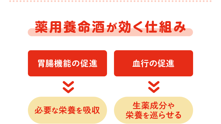 薬用養命酒が効く仕組み
