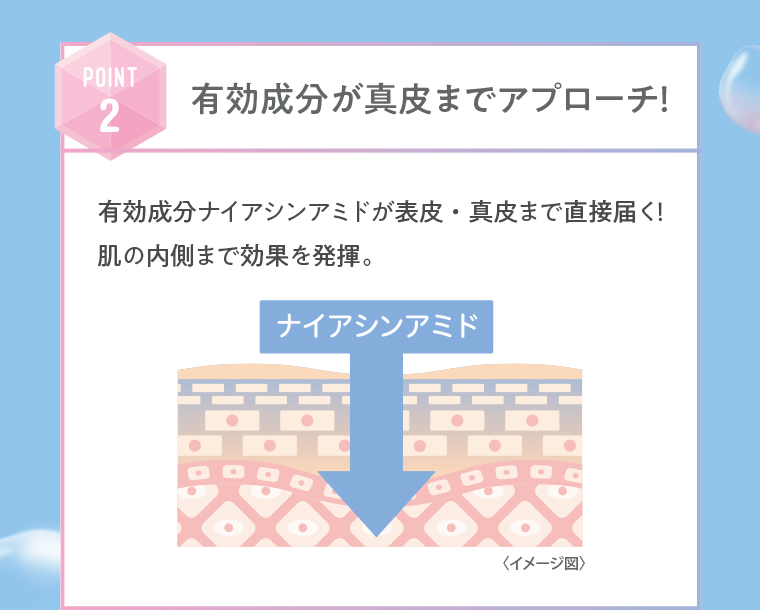 POINT02 有効成分が真皮までアプローチ