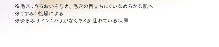 ※毛穴：うるおいを与え、毛穴の目立ちにくいなめらかな肌へ　※くすみ：乾燥による　※ゆるみサイン：ハリがなくキメが乱れている状態