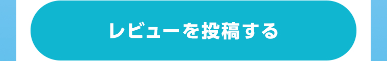 レビューを投稿する