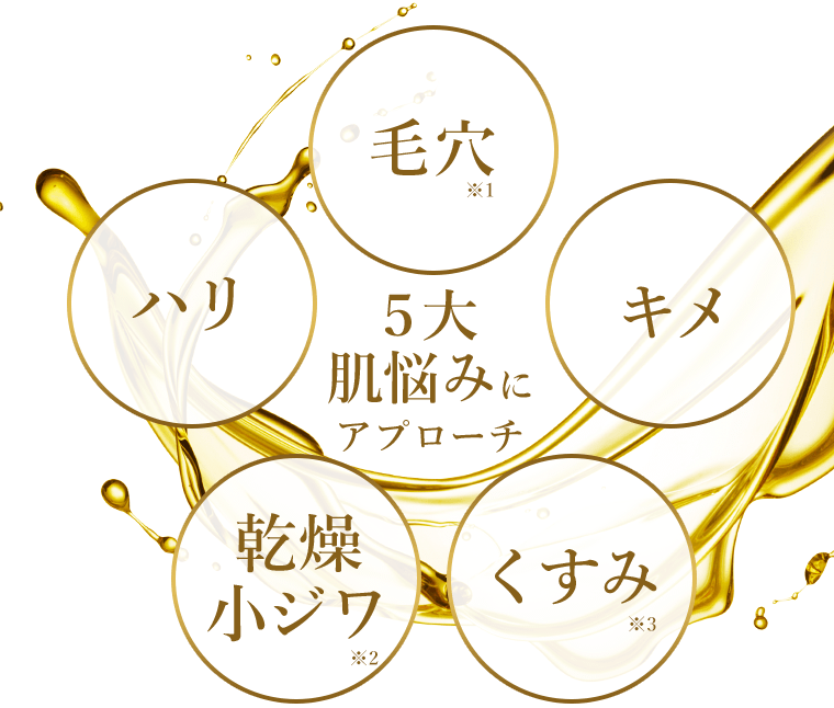 5大肌悩みにアプローチ　【毛穴】※1　【キメ】　【くすみ】※3　【乾燥小ジワ】※2　【ハリ】