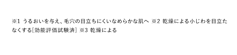 ※1 うるおいを与え、毛穴の目立ちにくいなめらかな肌へ ※2 乾燥による小じわを目立たなくする[効能評価試験済] ※3 乾燥による