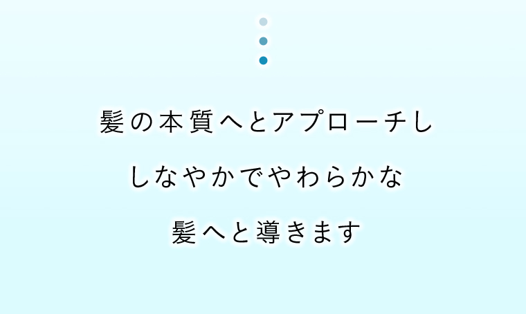 +tmrでタンパク質を補うとしなやかでやわらかな髪が実現します