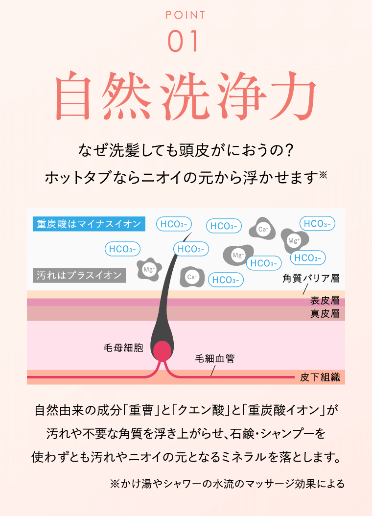 POINT01 自然洗浄力