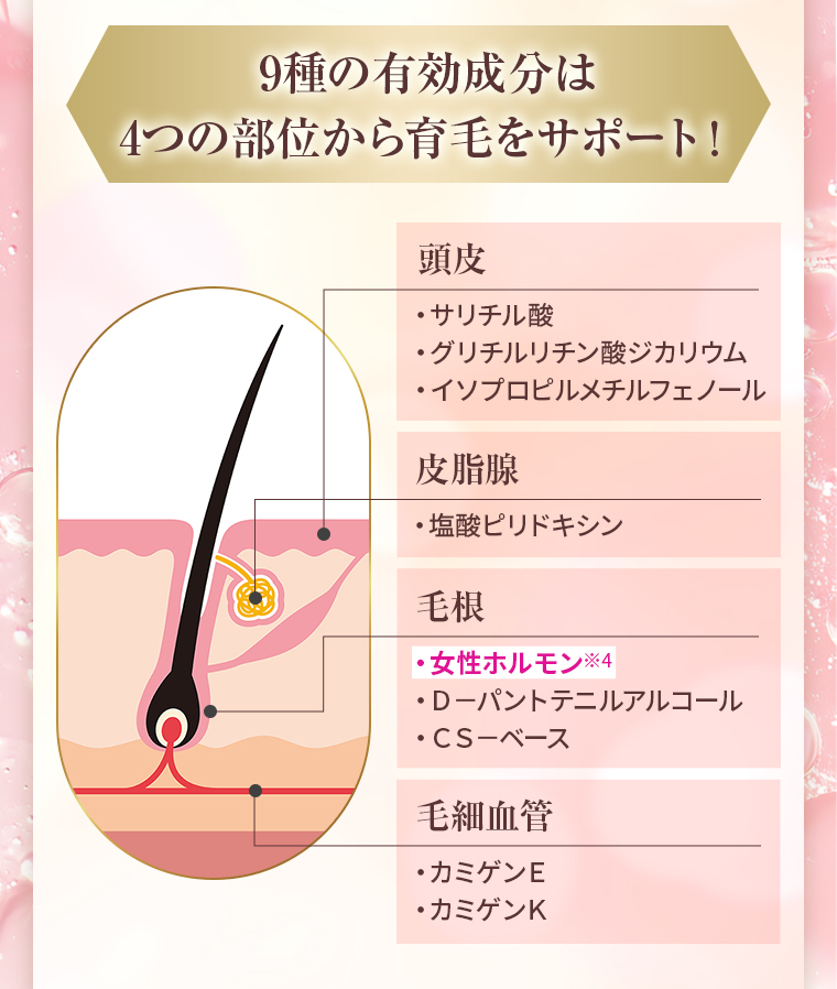 9種の有効成分は4つの部位から育毛をサポート！頭皮：サリチル酸・グリチルリチン酸ジカリウム・イソプロピルメチルフェノール／皮脂腺：塩酸ピリドキシン／毛根：女性ホルモン・Ｄ－パントテニルアルコール・ＣＳ－ベース／毛細血管：カミゲンＥ・カミゲンＫ