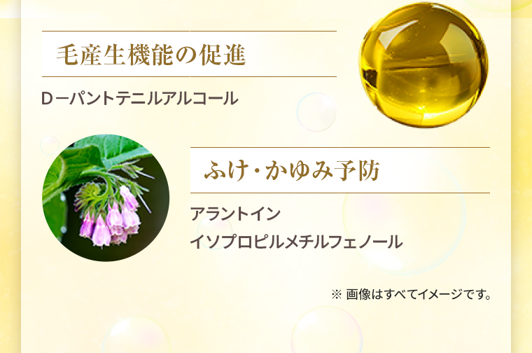 毛産生機能の促進：Ｄ－パントテニルアルコール／ふけ・かゆみ予防：アラントイン、イソプロピルメチルフェノール