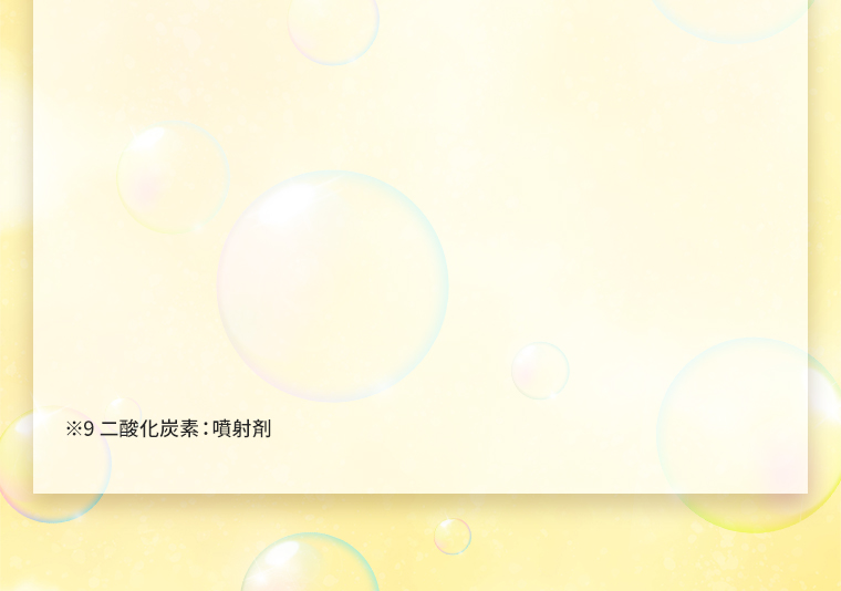 ※9 二酸化炭素：噴射剤