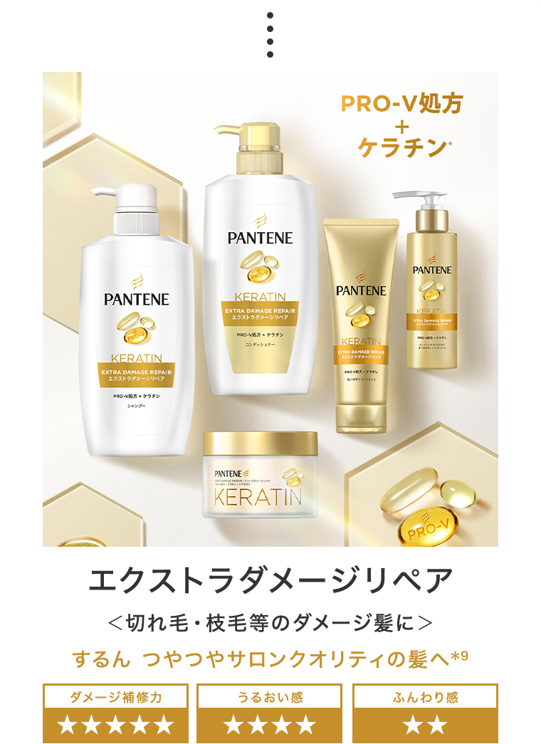 エクストラダメージリペア