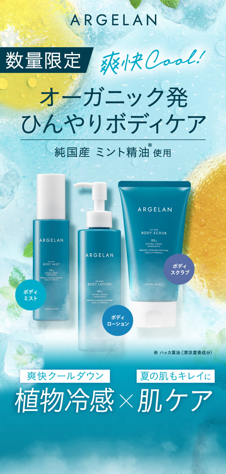 数量限定 オーガニック発 ひんやりボディケア
