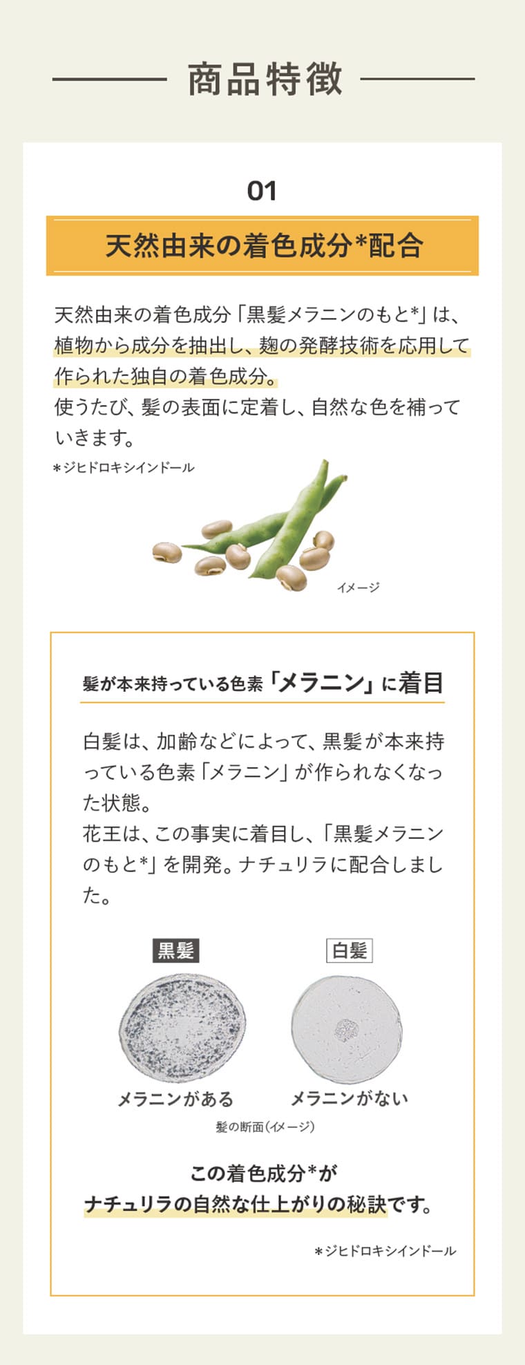 商品特徴　01 天然由来の着色成分*配合 天然由来の着色成分「黒髪メラニンのもと*」は、植物から成分を抽出し、麹の発酵技術を応用して作られた独自の着色成分。使うたび、髪の表面に定着し、自然な色を補っていきます。 髪が本来持っている色素「メラニン」に着目 白髪は、加齢などによって、黒髪が本来持っている色素「メラニン」が作られなくなった状態。
								花王は、この事実に着目し、「黒髪メラニンのもと*」を開発。ナチュリラに配合しました。 黒髪 メラニンがある 白髪 メラニンがない この着色成分*がナチュリラの自然な仕上がりの秘訣です。