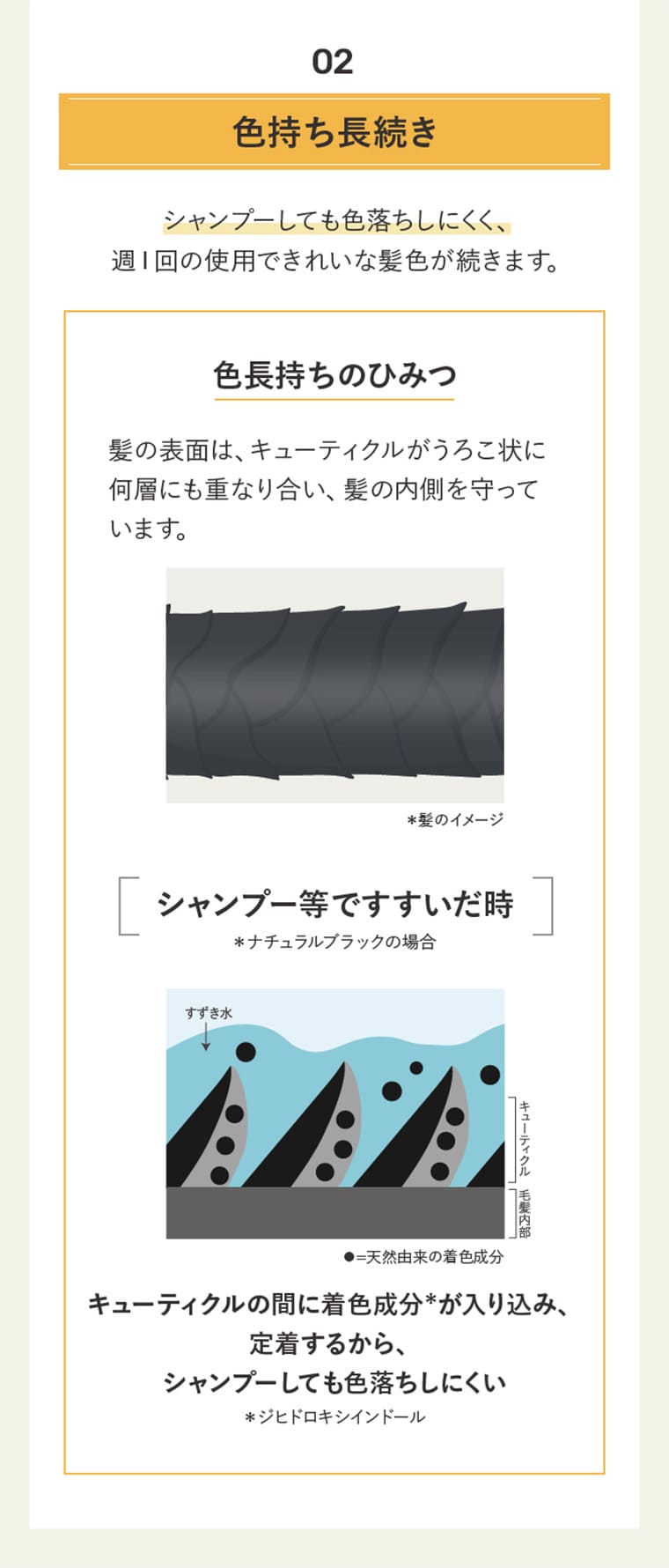 02 色持ち長続き シャンプーしても色落ちしにくく、週1回の使用できれいな髪色が続きます。色長持ちのひみつ 髪の表面は、キューティクルがうろこ状に何層にも重なり合い、髪の内側を守っています。シャンプー等ですすいだ時キューティクルの間に着色成分*が入り込み、定着するから、	シャンプーしても色落ちしにくい