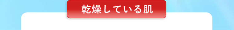 乾燥している肌