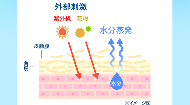 ※イメージ図