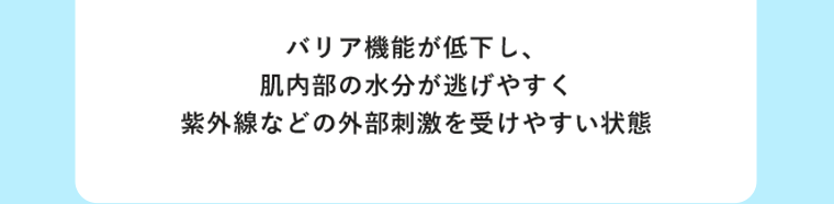バリア機能が低下し、肌内部の水分が逃げやすく紫外線などの外部刺激を受けやすい状態