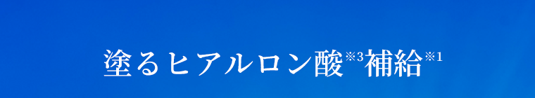塗るヒアルロン酸(※3)補給(※1)