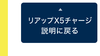 リアップ X5チャージの説明に戻る