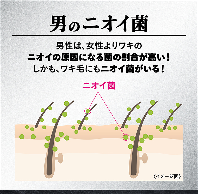 男のニオイ菌