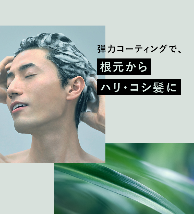 根本からハリ・コシ髪に