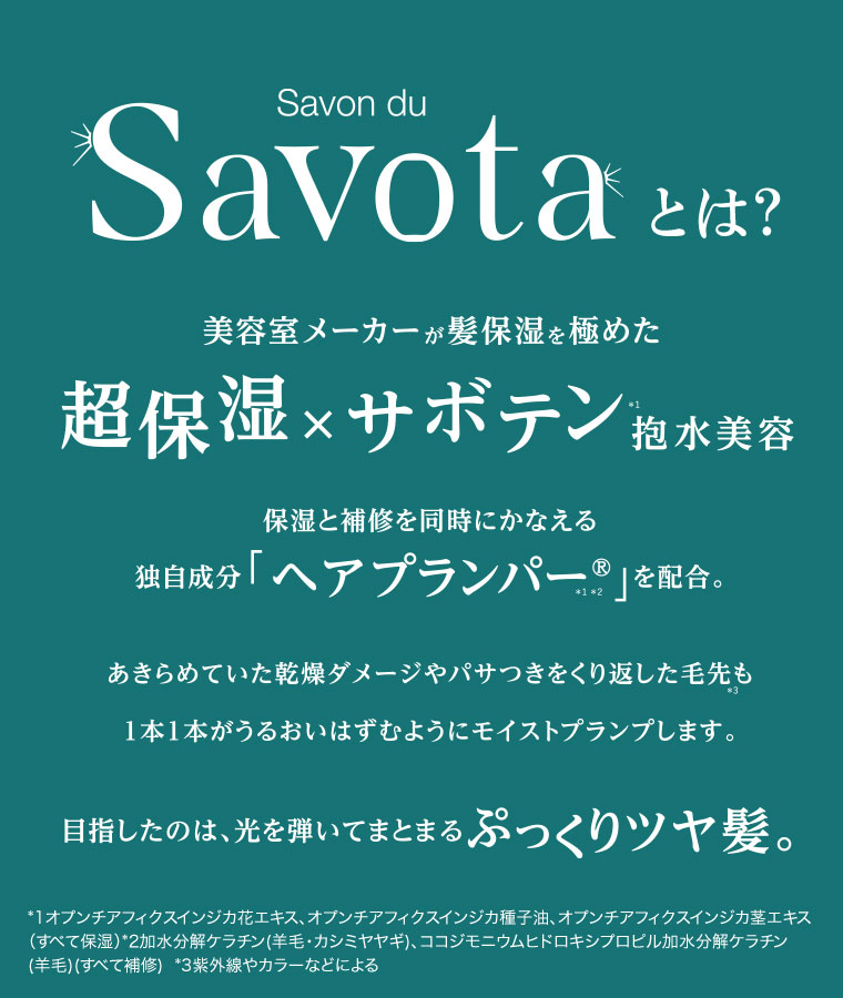 Savotaとは？