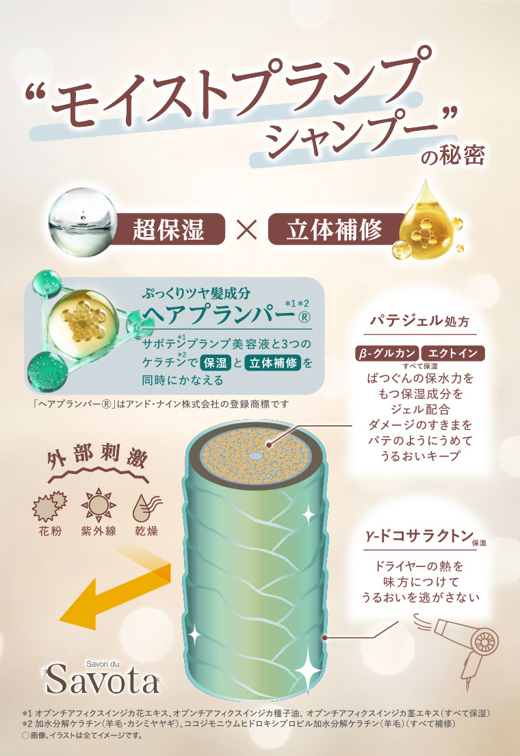 モイストプランプシャンプー
