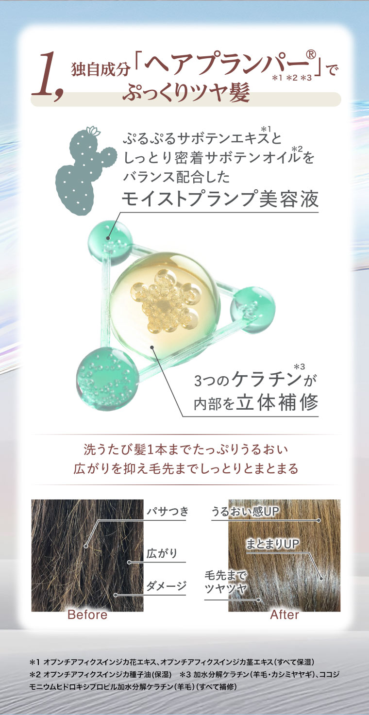 POINT01 独自成分「ヘアプランナパー」でぷっくりツヤ髪