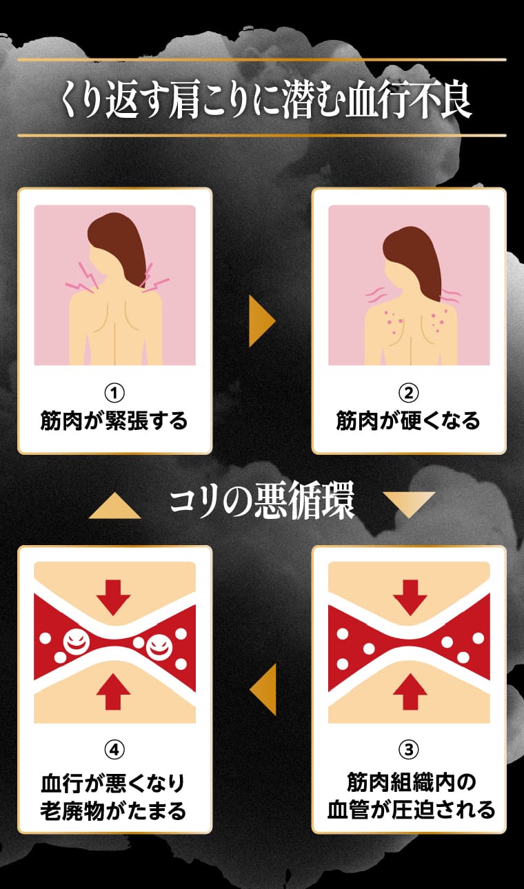 くり返す肩こりに潜む血行不良 コリの悪循環 ①筋肉が緊張する ②筋肉が硬くなる ③筋肉組織内の血管が圧迫される ④血行が悪くなり老廃物がたまる