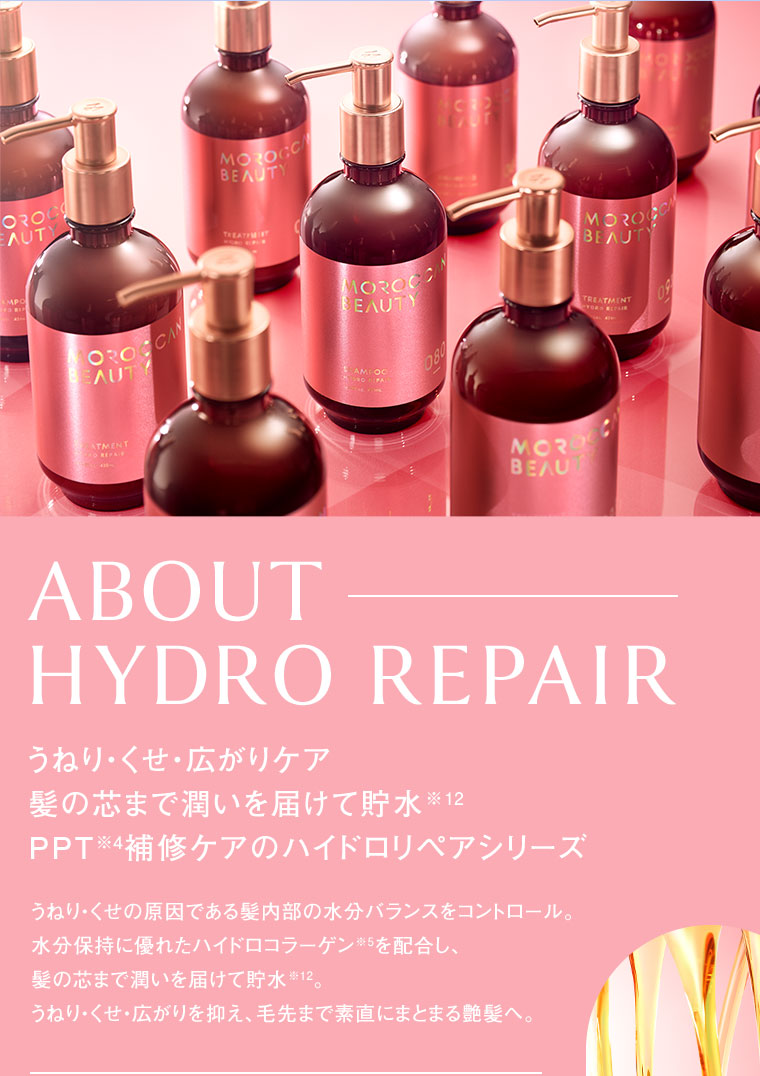 ABOUT HYDRO REPAIR