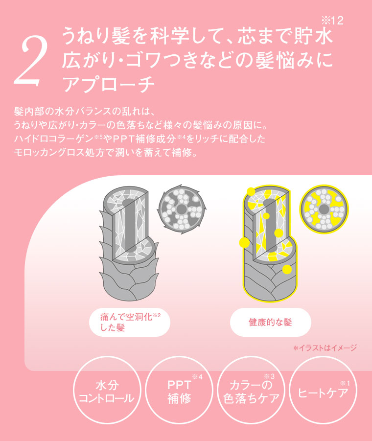 2 広がり・ゴワつきなどの髪悩みにアプローチ