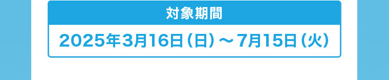 対象期間