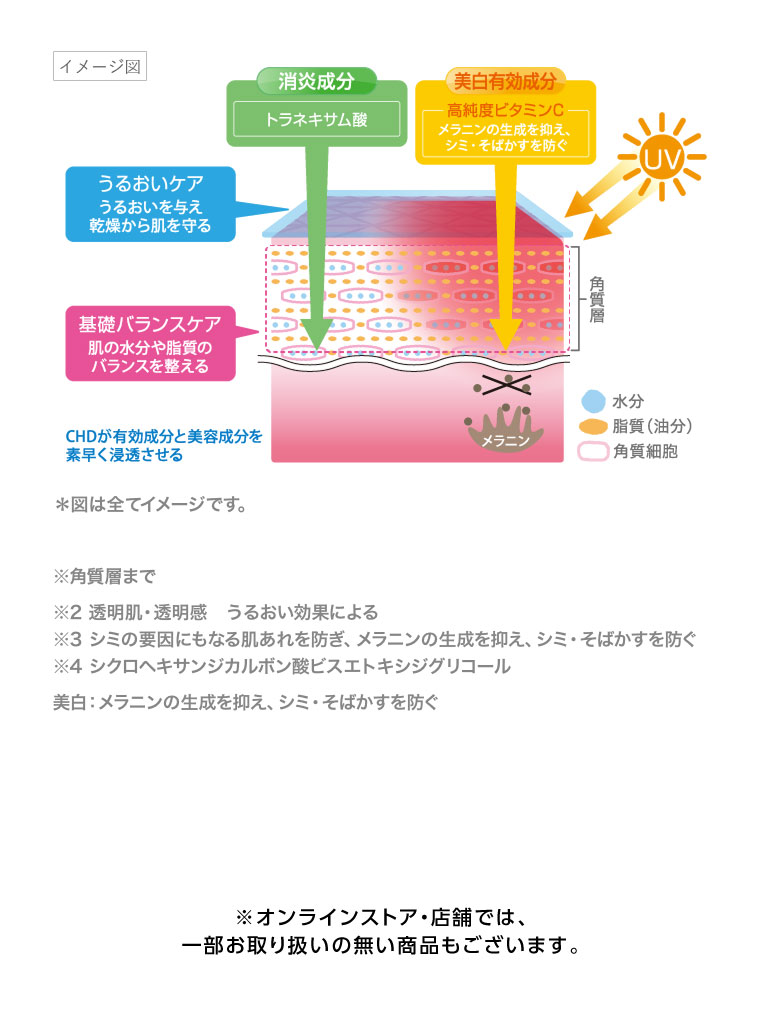 イメージ図
