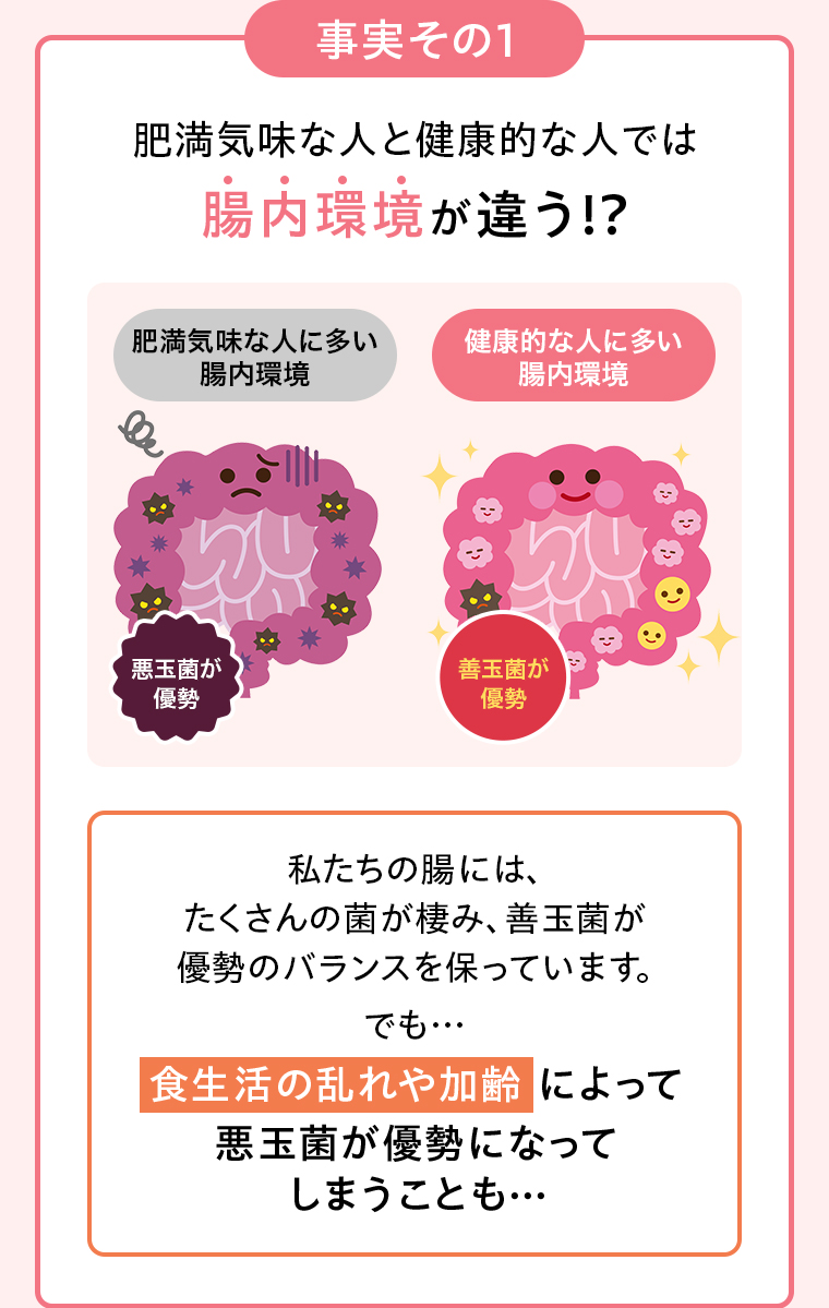 事実その1