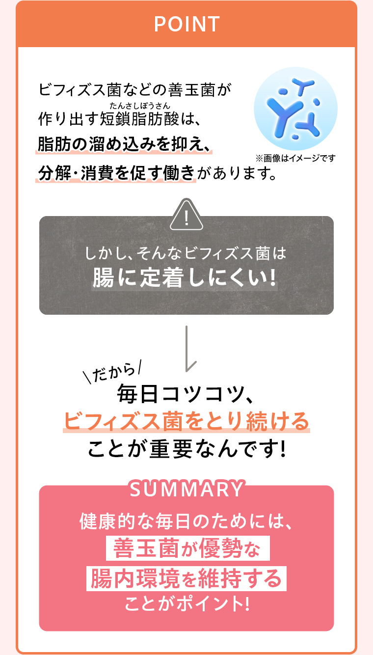POINT 善玉菌が優勢な腸内環境を維持することがポイント