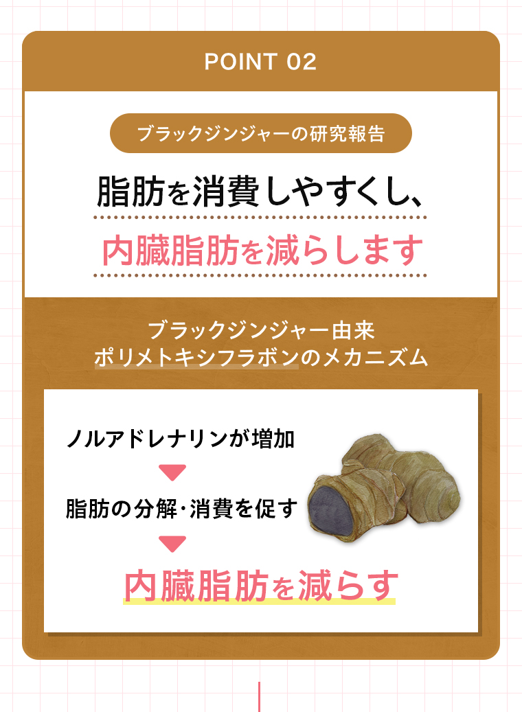 POINT02 脂肪を消費しやすくし内臓脂肪を減らします