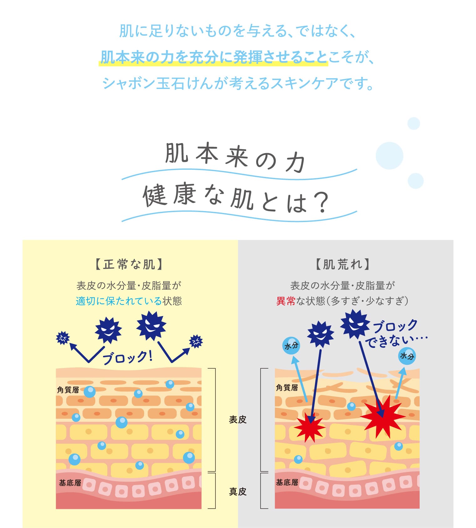 肌に足りないものを与える、ではなく、肌本来の力を充分に発揮させることこそが、シャボン玉石けんが考えるスキンケアです。 肌本来の力 健康な肌とは？ 【正常な肌】表皮の水分量・皮脂量が適切に保たれている状態 【肌荒れ】表皮の水分量・皮脂量が異常な状態（多すぎ・少なすぎ）