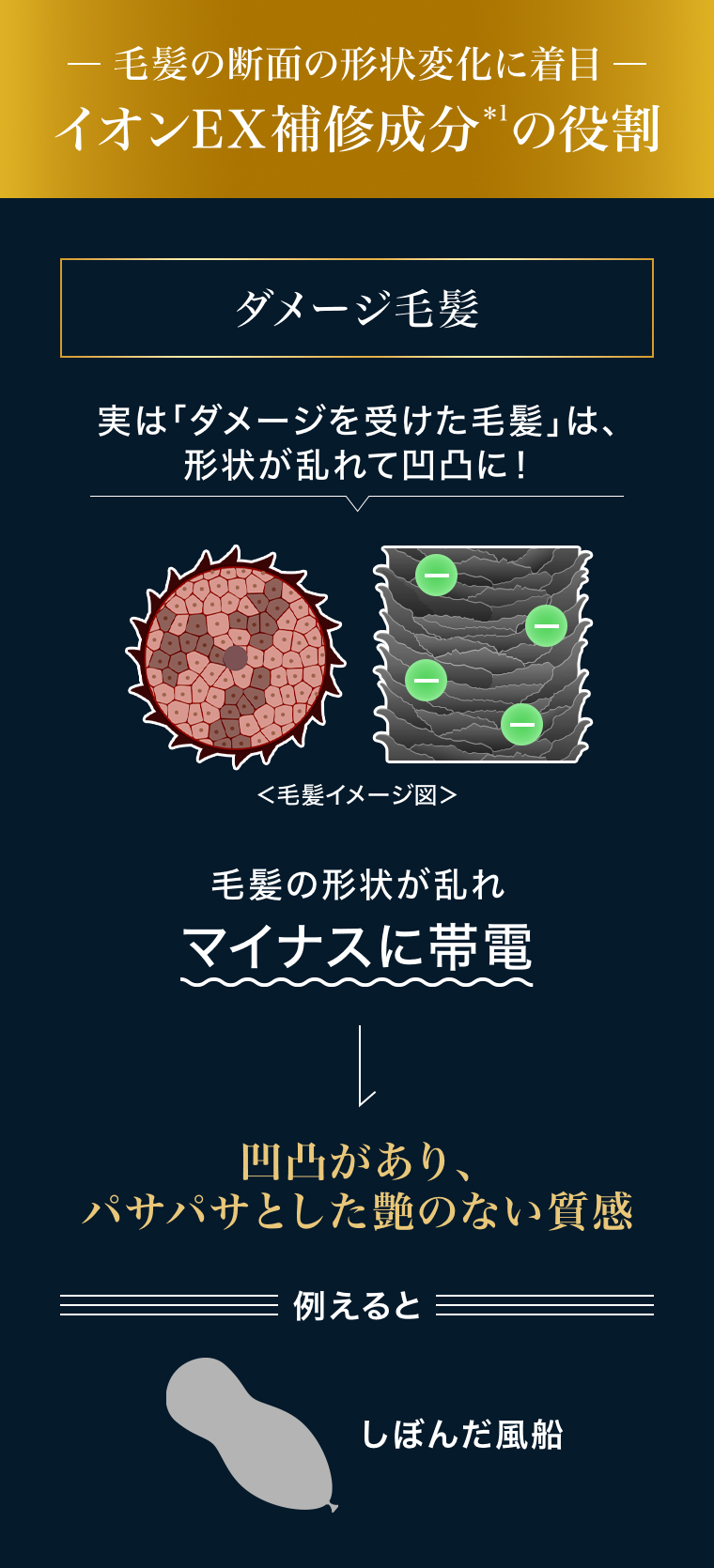イオンEX補修成分の役割