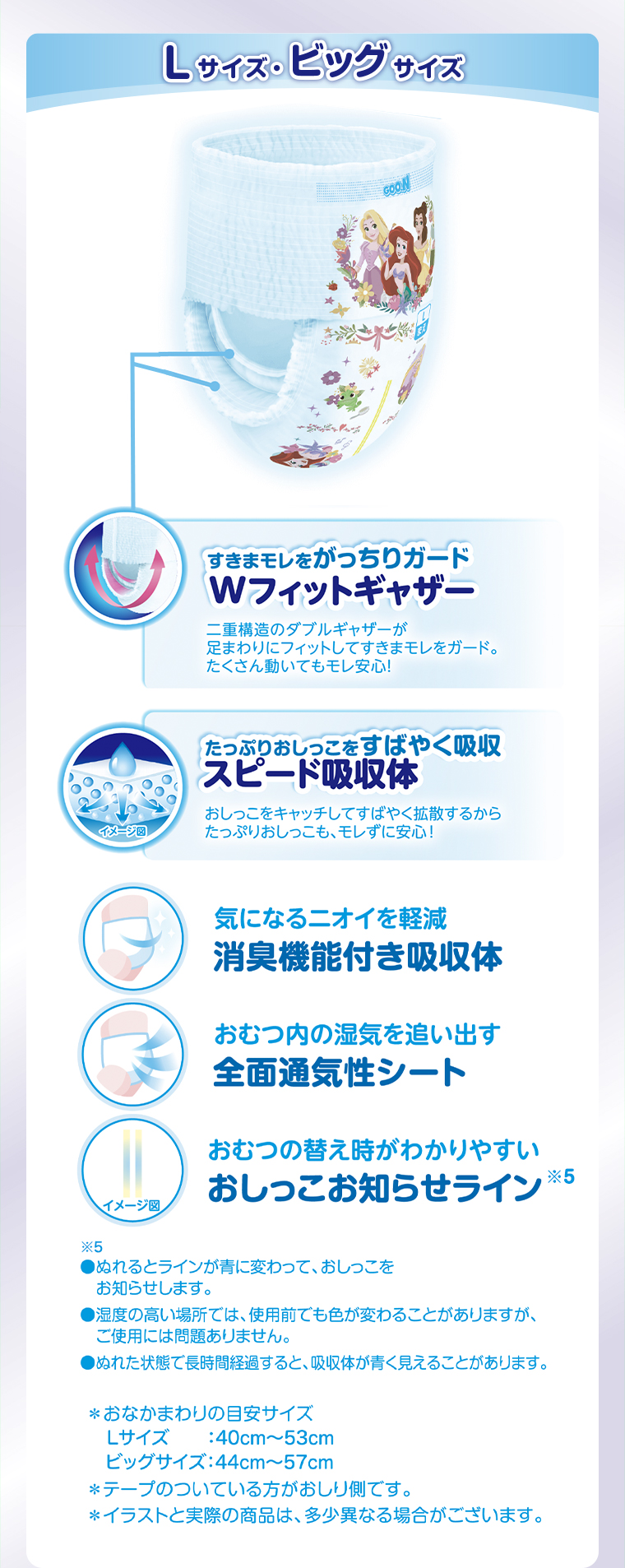 Lサイズ・ビッグサイズ