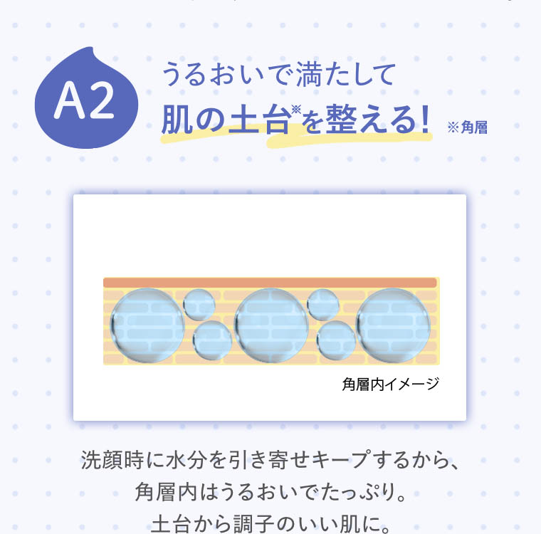 A2 肌の土台を整える