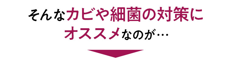 そんなカビや細菌の対策にオススメなのが…