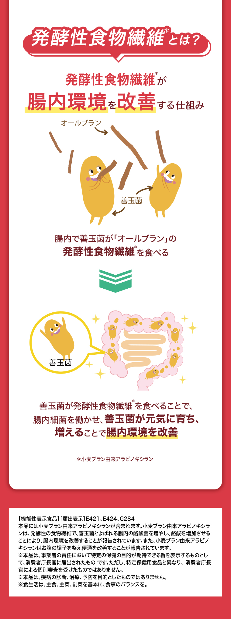 発酵食物繊維とは？