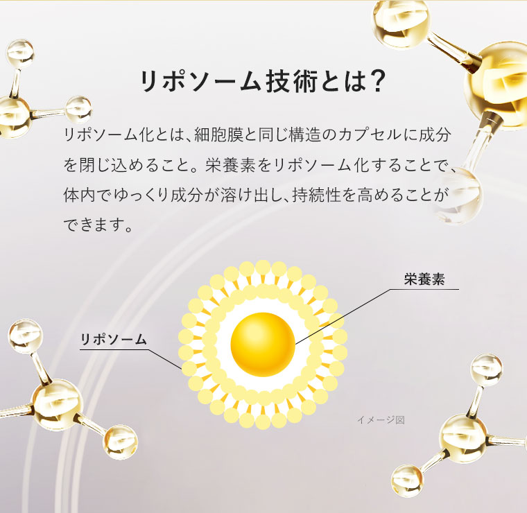 リポソーム技術とは？