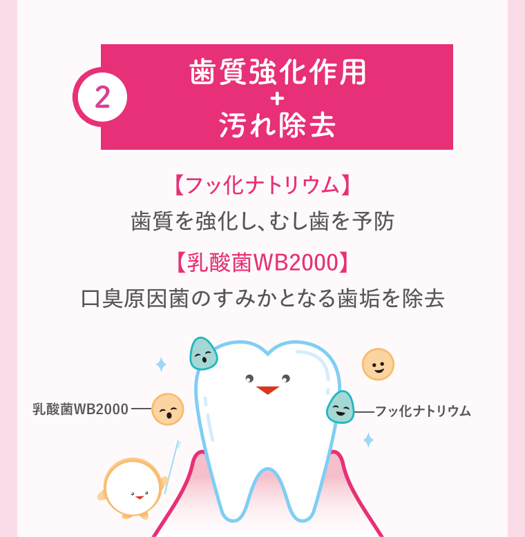 2歯質強化作用+汚れ除去