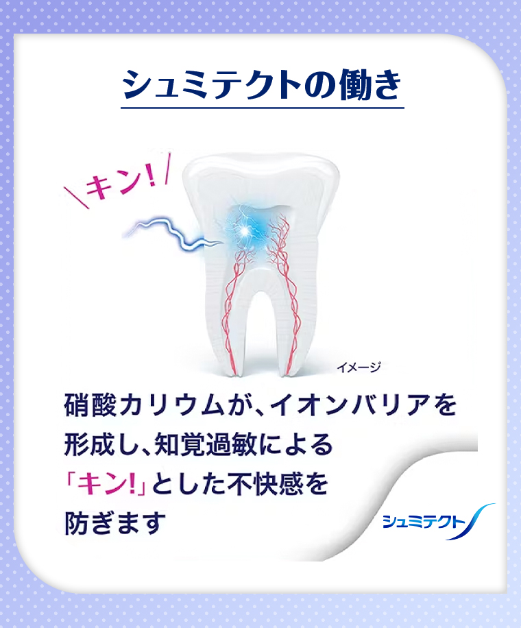 シュミテクトの働き