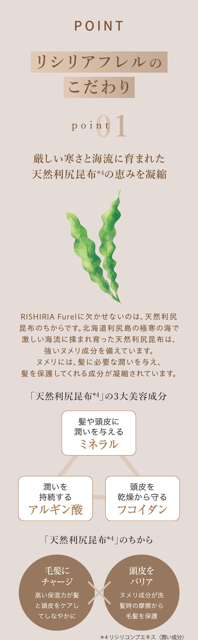 POINT01 天然利尻昆布の恵みを凝縮